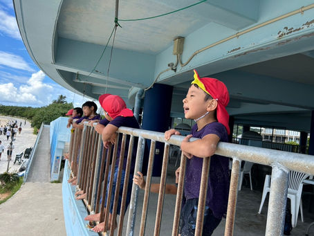 ９/６(金)　🌊園外保育【東浜マリンパークへ！】🌊