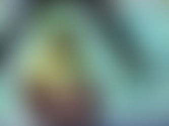 ほし組さん・はじめてのおでかけ☆ミ