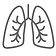 lung.jpg
