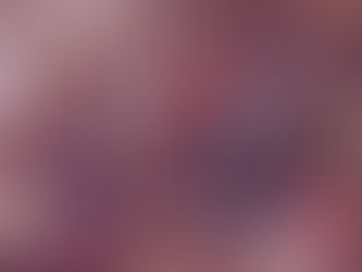 “Familia celebrando Navidad con protección de seguros en Puerto Rico”