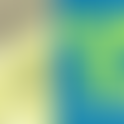 Why Culture Initiatives Fail When Behavior Does Not Change