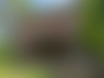 Renovating for ROI: Planning Renovations