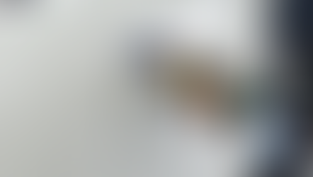 Polishing Spot Repair and Refinishing