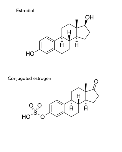 Estradiol_and_Conjugated_Estrogen