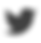 twitter logo-01.png
