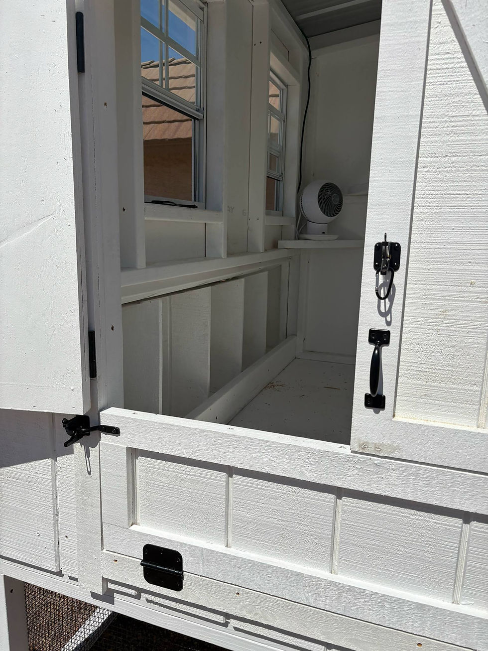 Thumbnail: The Arlington Coop by San Tan Valley Coops 