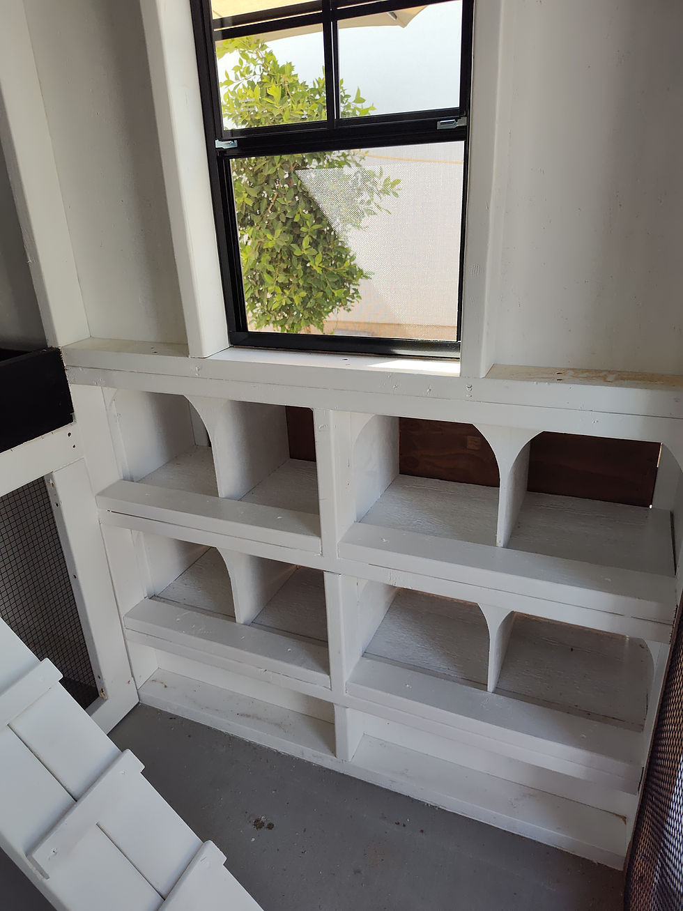 Thumbnail: The Via Del Rancho Coop by San Tan Valley Coops 