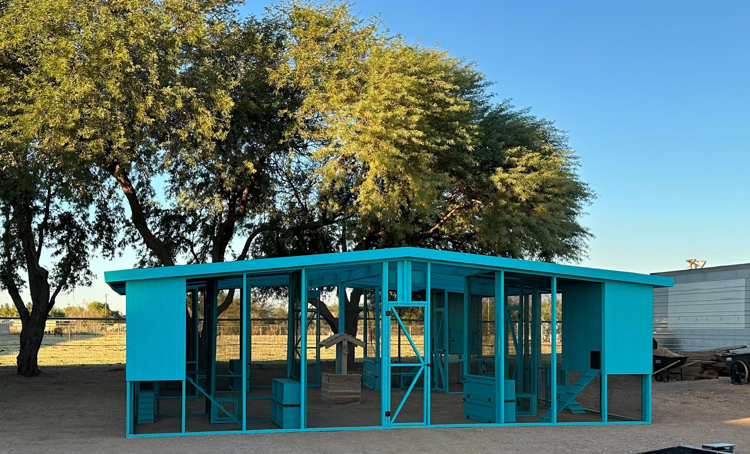 Cluckin' Quad Aviary 