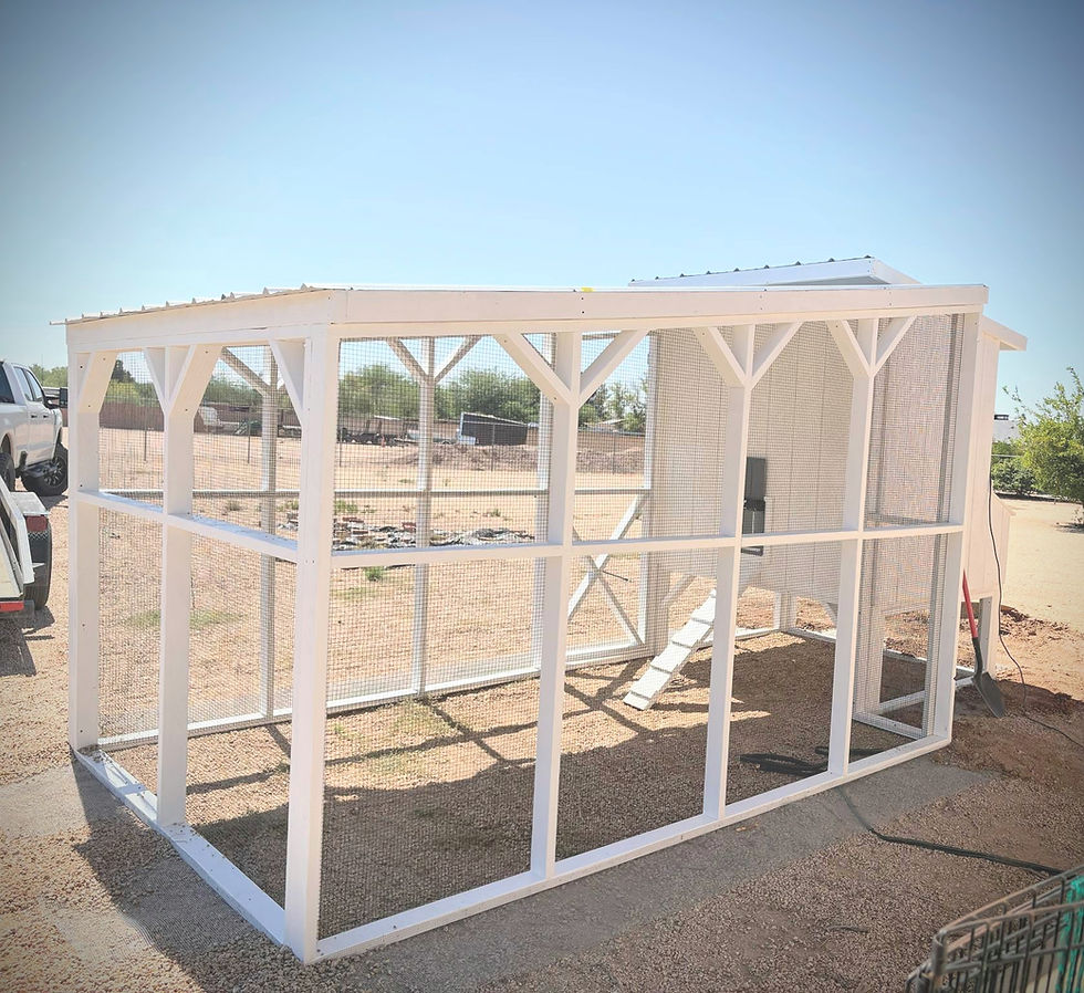 Thumbnail: The Arlington Coop by San Tan Valley Coops 