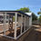 Thumbnail: The Denmark Coop by San Tan Valley Coops 
