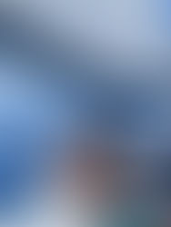 February 2025 Newsletter