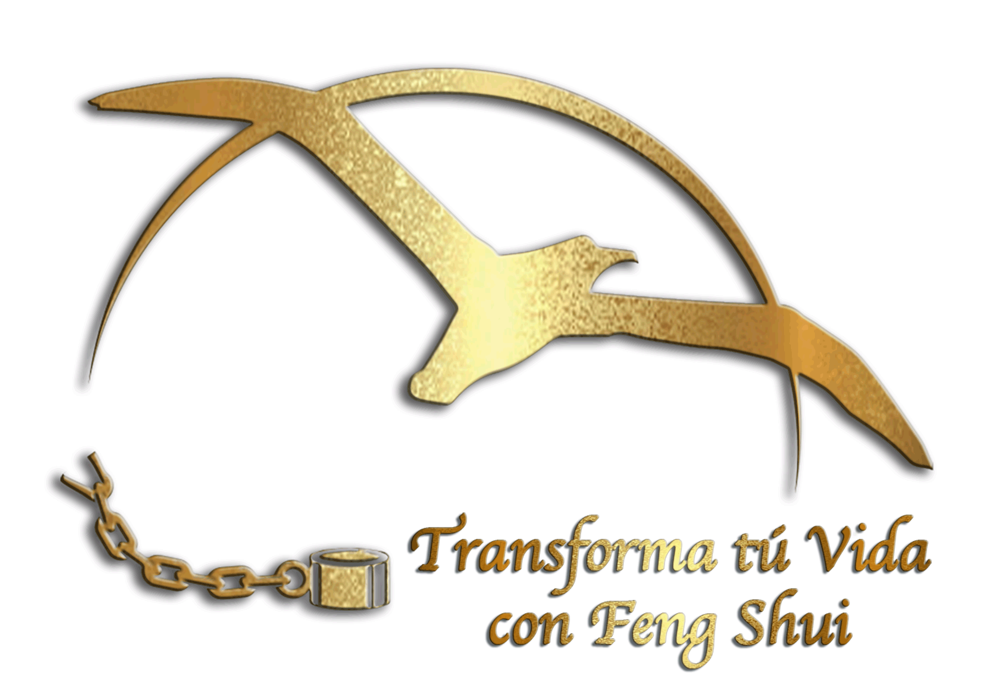 logo_transformatuvida.01.gif