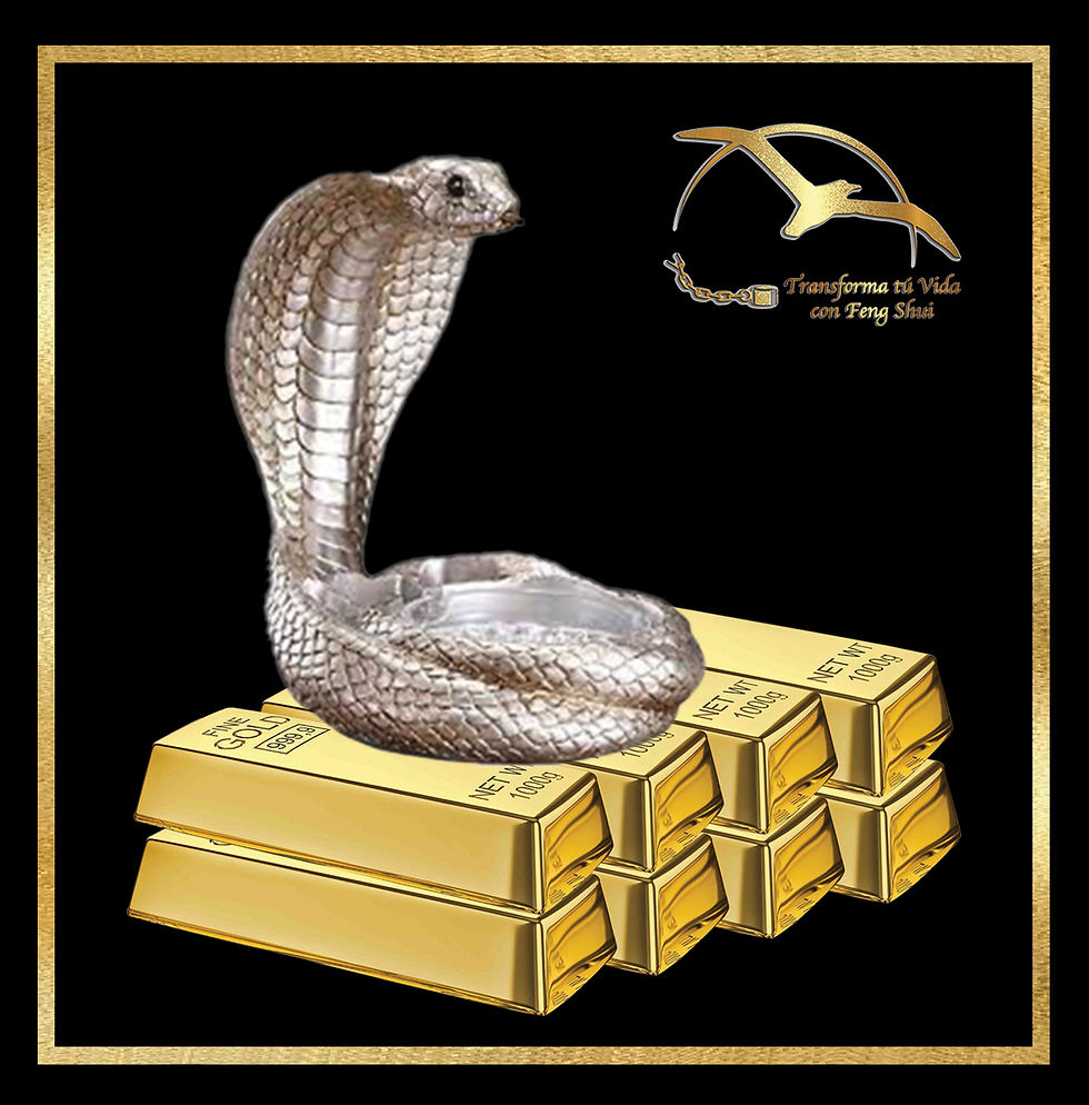 Mes de la Serpiente del 5 de Mayo al 5 de Juniol 2025 Dinero, Amor, Salud, Bienestar y Diversión Conoce, Activa y Disfruta de la maravillosa energía que trae el mes de Enero de acuerdo al Feng Shui , sigue todos nuestros tips y divierte haciendolo.