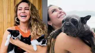 Paolla Oliveira adota 11 gatos e 7 cachorros: “Ato de amor”