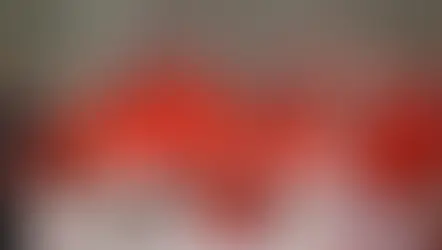 Novo papa pode ser eleito até os dias 8 ou 9 de maio.