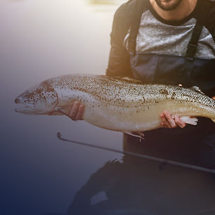 Rebel Sport Fishing Charters in Ucluelet - fish_compressed..jpg