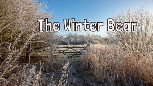 The Winter Bear