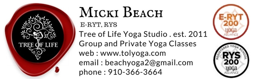 Micki Beach Header (2).jpg