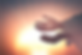 Website Pictures (28).png