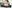 AdobeStock_136085366.jpeg