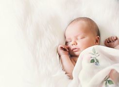 AdobeStock_173685984.jpeg