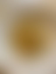 Saint-Jacques grillées sur fondue de poireaux, notes d’agrume & de vanille