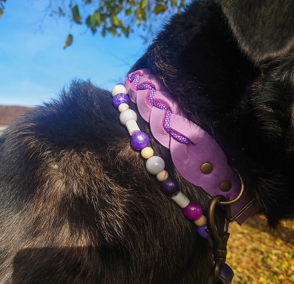 Miniature : Collier perles (anti-parasitaires)