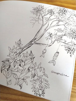 WhatsApp Image 2026-01-23 at 2.51_edited