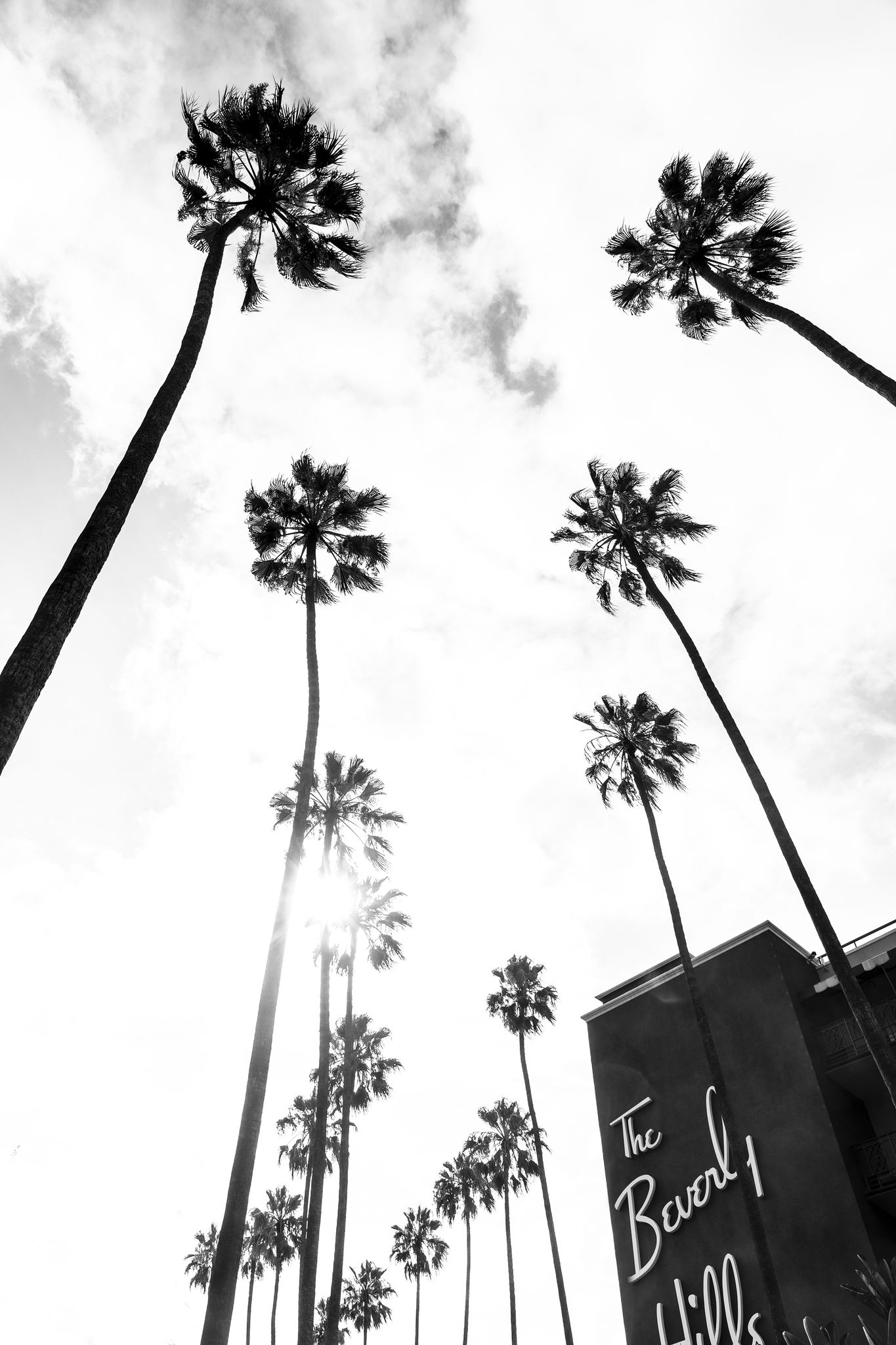 The Beverly Hills No1. Los Angeles, California, USA. 2021.