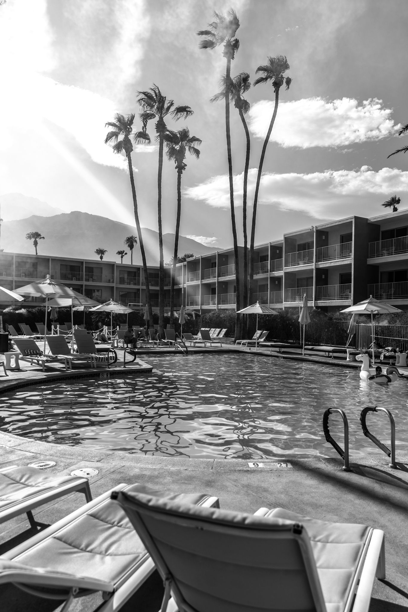 The Saguaro No2. Palm Springs, California. 2021