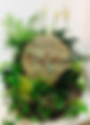 37025.jpeg