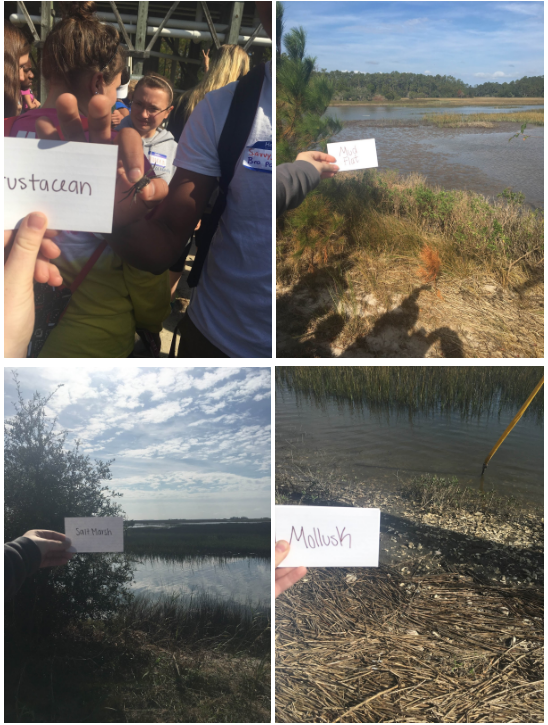 Marine Science class goes coastal