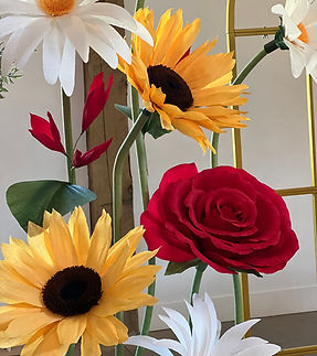 Sunflowers, daisies and roses