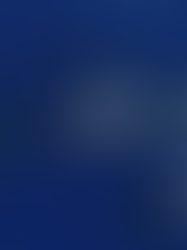 Looking Back on Maui 2025: A Winter Full of Whales