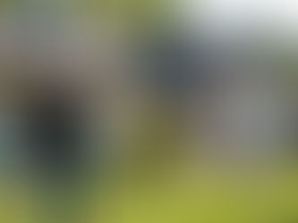 What Is a Seller’s Market—and How Sellers Can Use It Wisely