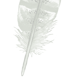 feather-homepage.png