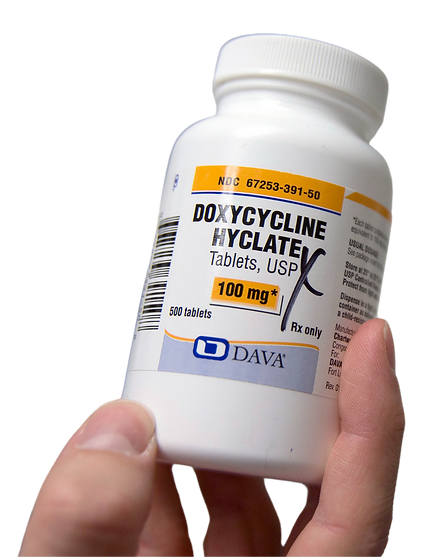 vertical website graphics(20).png