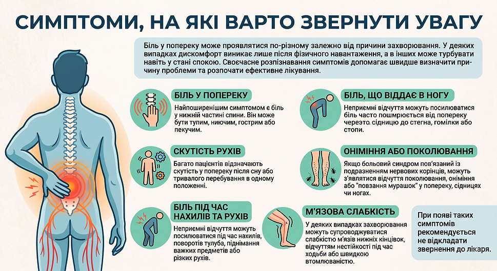 Симптоми болю в попереку — інфографіка