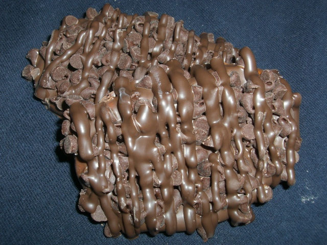 Chocolate Chip Dream