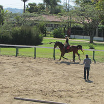 FEI COACH I | 2017 (12)