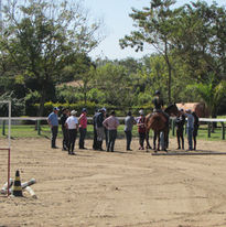 FEI COACH I | 2017 (9)