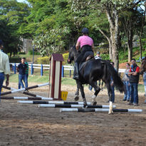 FEI COACH INTRO | 16-05-2017 (8)