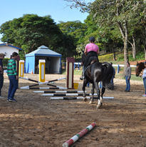 FEI COACH INTRO | 16-05-2017 (1)