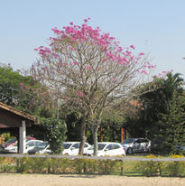 FEI COACH I - Parte 2 | 23-07-2017 (9)