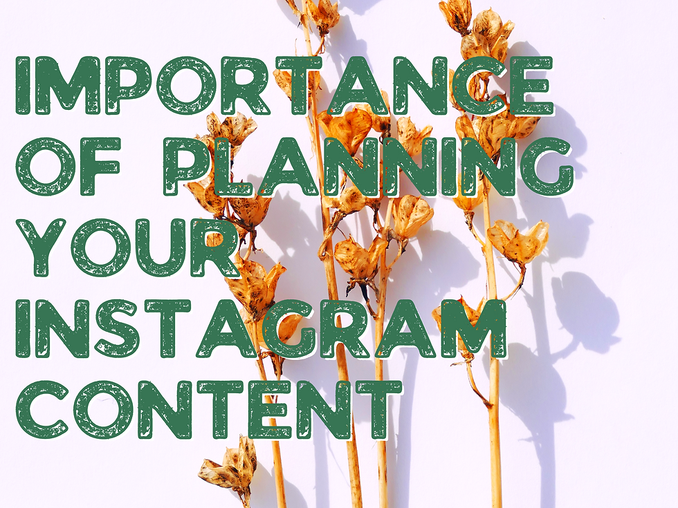 Importance of Planning Your Instagram Content