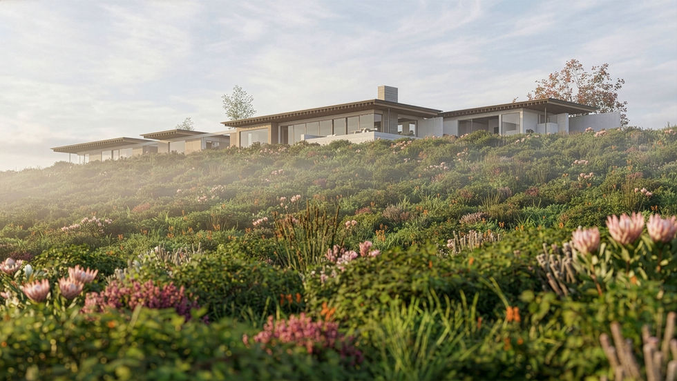 Wide landscape view of a modern Beach Architects multi-volume coastal house with large glass windows and flat overhanging roofs, situated atop a hill covered in dense, blooming fynbos and bathed in soft morning light.
