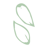 Nuts site-03.png