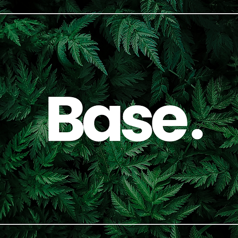 Base. green coffee beans
