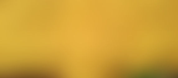 Cyanotypie- Anleitung