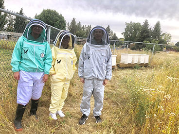 Walke lab 2018 in bee suits.jpeg